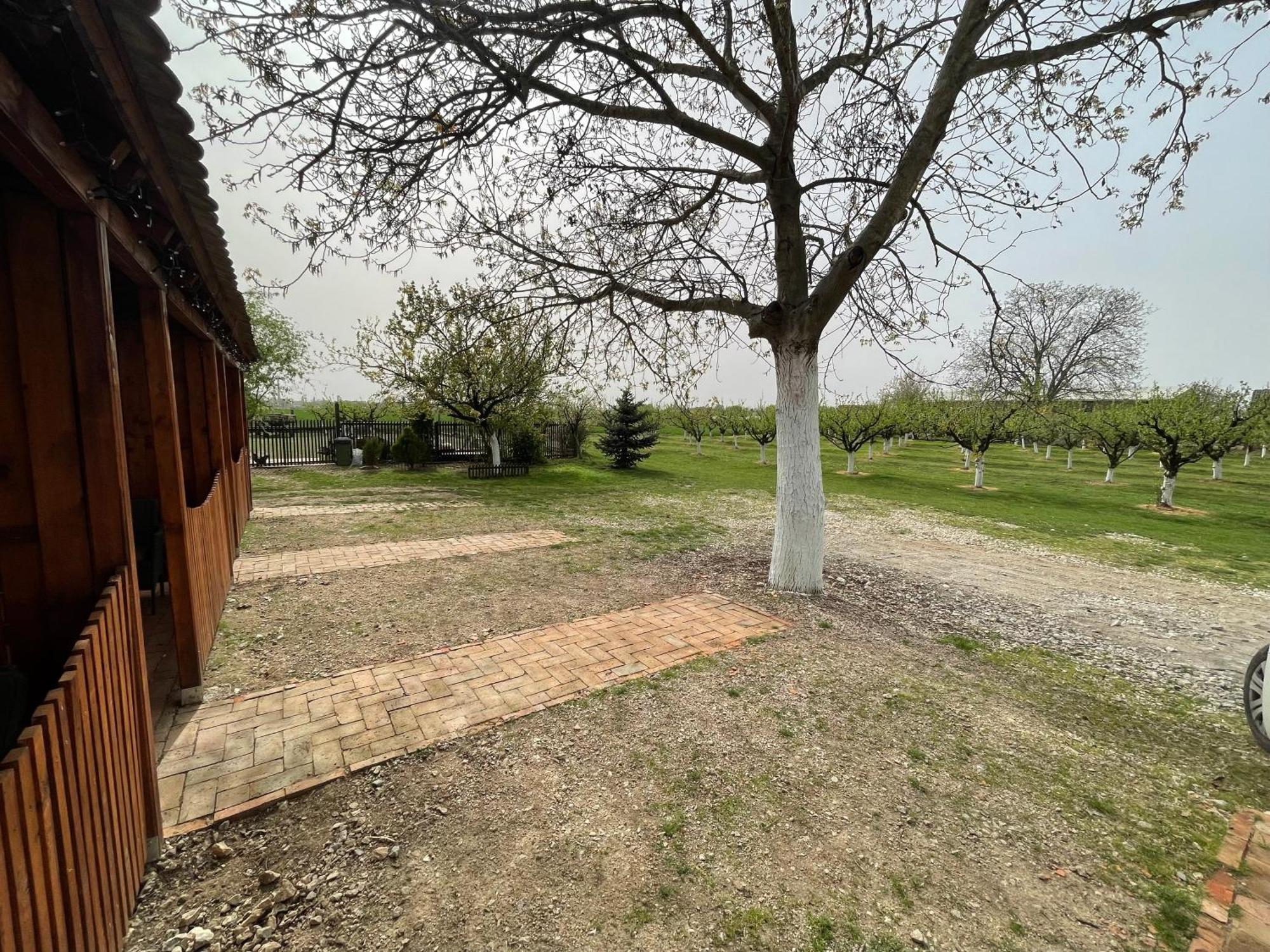 Salas Isailovi Sremska Mitrovica Exterior foto